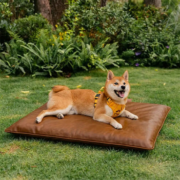 Water-Repellent Scratch-Resistant Double-Sided Washable Dog Mat