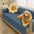 Waterproof Non-Slip Furniture Protector Pet Sofa Cover-Slipsafe