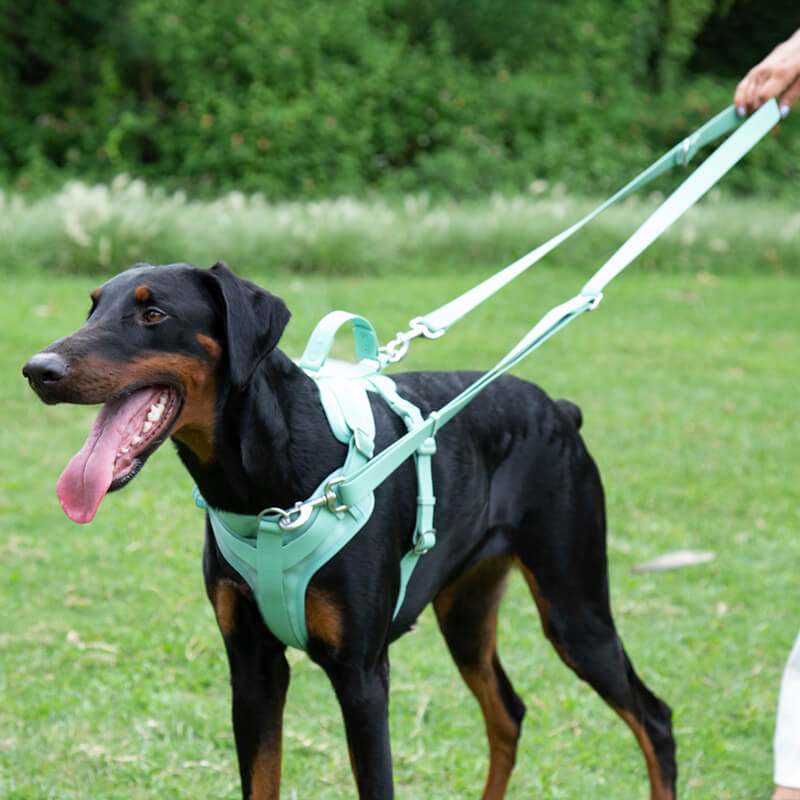 Gummy Dog Harness - FUNNYFUZZY