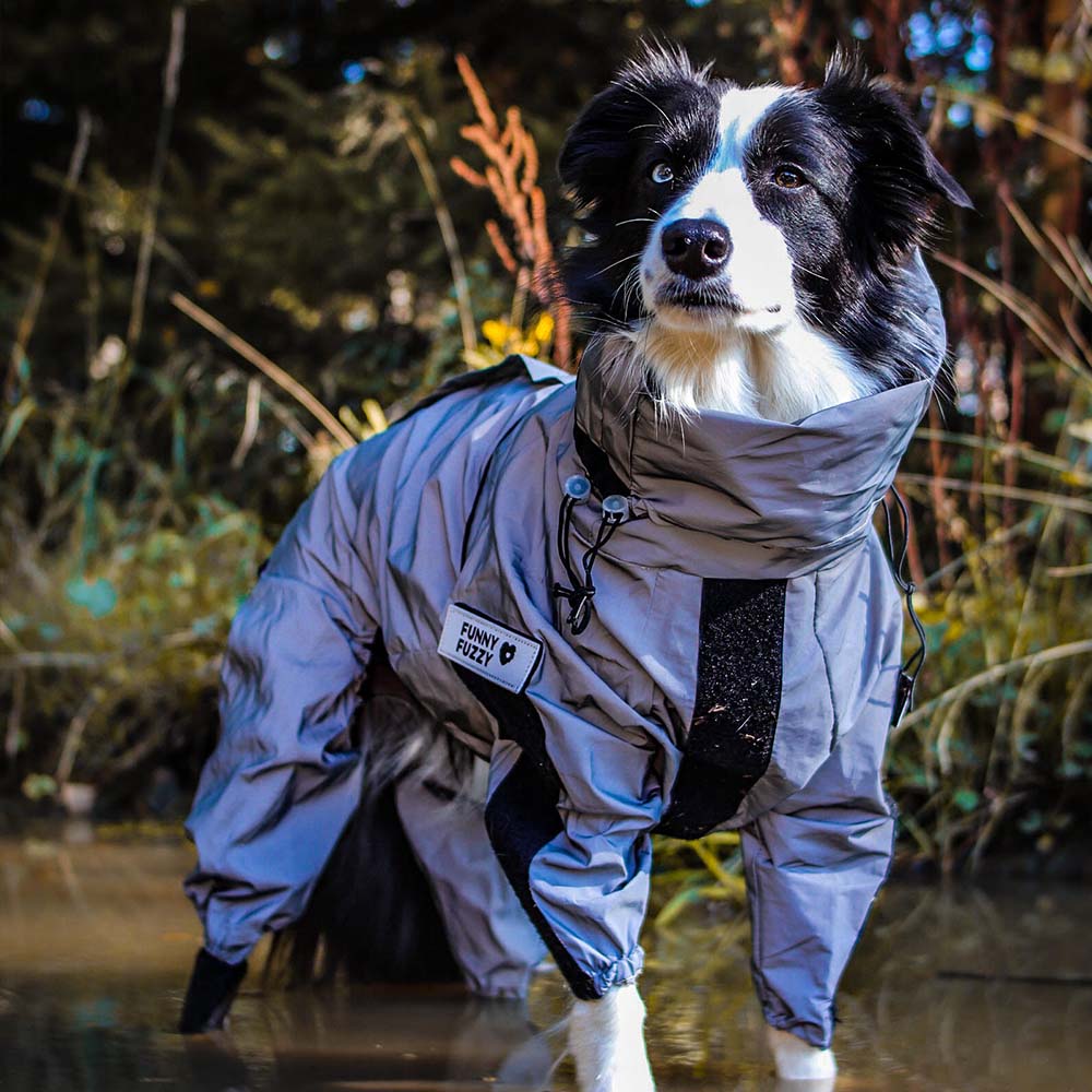 Reflective All-weather Waterproof Space Coat Dog Rain Coat