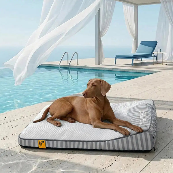 Large Washable Cooling Non-slip Outdoor Dog Mat - Cooling Nap