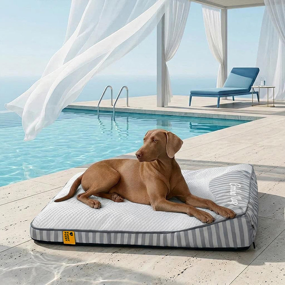 Extra Large Cooling Washable Rectangle Orthopaedic Dog Bed - Cooling Nap