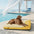 Large Washable Cooling Non-slip Outdoor Dog Mat - Cooling Nap
