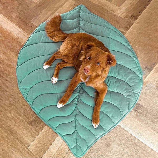 Calming Dog Blanket - Leaf Shape